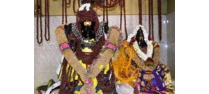 வேடப்பட்டி